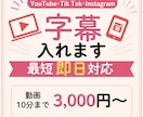 動画の字幕・テロップを最短即日で入れます 字幕だけ欲しい方へ！シンプルな字幕を丁寧に仕上げます イメージ1