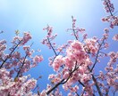 ちょっとだけ話したい方。15分以内で終了します ちょっと誰かと話したい方。15分限定。お試しにもオススメ。 イメージ1