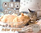 実績10件までモニター価格！EC画像を制作します シンプル・ナチュラル・大人かわいいデザインならおまかせ！ イメージ5
