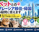 ペットとのマレーシア移住・帰国の疑問に答えます 猫と日本⇄マレーシアを往復した実体験からお答えします イメージ1