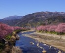 ご依頼者様の満足する旅行プランをご提案いたします 47都道府県回った経験で、年代・予算等に合わせた旅行をご提案 イメージ2