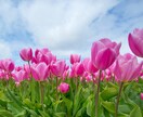 心のモヤモヤ、頭のぐるぐる、一緒に整理します 心の奥にある気持ちを自分のペースで話せる「安心安全」の場所 イメージ2