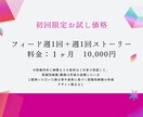 Instagram初心者さん必見！運用代行します 初回限定価格10000円！初めてのInstagram運用に イメージ3