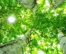 話し相手が必要なかたへ。話を聞きます。励まします あなたのお話し相手になります。相談に乗ります。 イメージ2