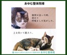 しっくり！なるほど！なキャッチコピー提案します ポスター掲出、雑誌掲載などの実績を持つコピーライターが提案 イメージ10