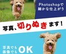 写真の切り抜きいたします Photoshop使用、丁寧に切り抜きします！ イメージ1