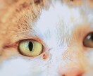 3枚　写メ加工、画像加工（文字いれ等）します キラキラ感のある写メに加工します イメージ5