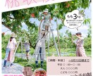 チラシデザイン作成します 主にイベントお知らせ用デザインが必要な方に イメージ2