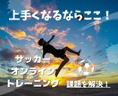 サッカーのオンライントレーニング行います メニュー作成し、ビデオ通話でお子様のトレーニングを指導します イメージ1