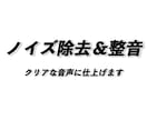 ノイズ除去＆整音サービス｜クリアな音声に仕上げます 雑音を消して、伝わる音声に。短納期も対応可 イメージ1