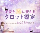 ヒーラー猫と一緒にタロット鑑定します ＝不安を光に変える恋愛タロット鑑定＝ イメージ1