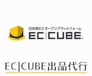 EC-CUBEへの商品登録 出品作業を代行します 10年以上の出品経験で強力サポート イメージ1