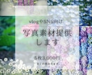 SNSに使える高品質な写真の素材提供します カメラ歴7年の私が撮影したお花や猫の イメージ1