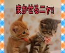 あなたの心の手当を致します あなたの心の状態回復をサポートします！ イメージ1