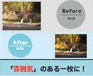 あなたの写真を”雰囲気のある一枚”に変えます いつもの写真に少し雰囲気を加えて、あなただけの一枚に！！ イメージ1