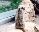 3日間じっくり沢山お話し聞きます じっくり深くお話ししたい方、日常生活、悩み、相談聞きます イメージ1