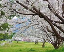 学生時代好きだった“あの人”との相性を読み解きます 過去に惹かれた“あの人” 今でもふとした瞬間に思い出す理由 イメージ3