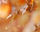 10月の運気を占います 〇〇には良い運気ですが〇〇には要注意です!! イメージ1