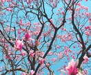 今すぐ電話で♡おしゃべりできます 元気おすそわけ！エネルギーチャージしませんか♡ イメージ5