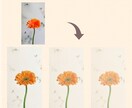 SNSカバー・ヘッダー画像を可愛い手描き風にします いつものカバー画像を模様替え♪濃淡3パターンのお渡しです♪ イメージ10