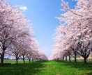 タロットカードで相性を占います お相手との相性と、好転へのアドバイスのシンプルプラン！ イメージ1