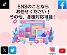 Instagramフォロワー＋1万人以上増やします インスタグラム複垢振り分け可能！ゆっくり増加！ イメージ2