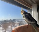 おもしろ可愛い瞬間の写真、提供いたします クオリティを下げずに撮影した写真を使ってみませんか？ イメージ9