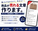 商品の魅力が伝わる説明文を作成します 商品情報から魅力が伝わる文章をご提案します イメージ1