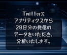 あなたのX(Twitter)アカウントを分析します ファンを増やすうえで武器になるあなたの"強み"を知りたい方へ イメージ3
