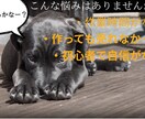 ゼロイチ突破コンテンツ作成代行します 時間がかかるコンテンツ代わりに作ります！あなたは販売のみ！ イメージ2