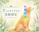 ペットさんのチャクラ状態を確認し整えます 7つのチャクラを確認し、今必要なエネルギーケアをお届け イメージ2