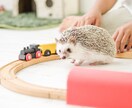 お子様との向き合い方にお悩みの方！お話聞きます 虐待児の私にお話ししてみませんか？2日間チャットでお付き合い イメージ10