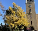 1年で早慶・MARCHに合格する方法教えます 現役で早稲田大に受かった私が、難関大に受かる方法を教えます！ イメージ1