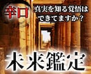 辛口未来鑑定｜視えたままの真実を正直にお伝えします 未来を変える！唯一無二の霊視技術であなたの人生を好転させます イメージ1