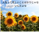 悩み・愚痴・相談あなたのお話お聞きします 30才から40さいの男女の悩み81才の浜ちゃんが聞きます イメージ2