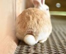 癒しになります。ちょっと聞いてアドバイスなどします 介護・福祉系歴19年の経験からお話します。 イメージ5