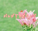 5分でも^ ^悩みを受け止め前を向くお手伝いします どんな悩みもお聴きします。前に進めるよう一緒に考えませんか イメージ7