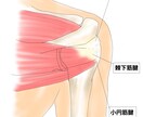 整形外科専門医が医療イラストを描きます 論文用シェーマや患者説明用イラストなどに！ イメージ5