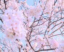 何でもお話聞きます 愚痴でも相談でもなんでも話してください☆ イメージ1