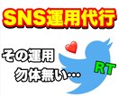 まずは【1ヶ月】Twitter運用代行いたします ただ知識があっても伸びるわけではありません！！ イメージ1