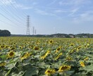 気楽に話せる様、空気作りも致します 接客業10年以上行っており、お客様目線で勤めてました！ イメージ1