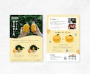 店舗・ビジネス用フライヤー・告知デザイン制作します オープン・商品・案内｜シンプルで洗練されたチラシで集客◎ イメージ3