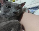 障害と生きるお子様のご家族のお話を聴きます。ます つらいお悩み、私と話してみませんか？他言は一切いたしません。 イメージ1