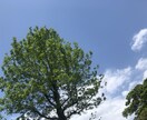 私の持ってる知識、経験全てを活かしアドバイスします 税金、副業、保険、マインド、心理学、考え方、貯金、借金 イメージ1