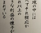 ナポレオン・ヒルの【名言書作品】をお届けします どんな逆境にも、未来を変える”希望の種”が眠っている。 イメージ2