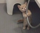 心に溜まった愚痴やもやもや、ありのままを聴きます ☆対人関係の悩み、積もり積もったストレスを抱えたあなたへ。 イメージ3