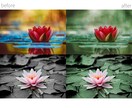 1枚250円~！画像加工・編集承ります ECサイトの商品画像など作成お手伝いします 早期納品も応相談 イメージ6
