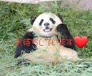 あまり無理しないで✨HSP繊細なあなたを応援します 孤独感/生きずらい/不安/緊張HSP(外交的)が寄り添います イメージ8