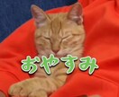 Twitchなどで使えるスタンプ・GIF作ります 1つ250円でTwitchなどで使えるスタンプ・GIF制作 イメージ7