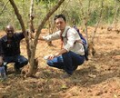 生豆輸入初心者向け！輸入実務完全ガイドします 輸入コスト削減、スムーズな生豆輸入を実現。商社実務経験あり。 イメージ2